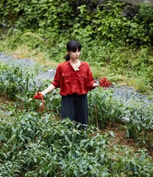 孙莉做客《向往的生活》,红衬衫古韵十足,质朴装扮也有优雅气质