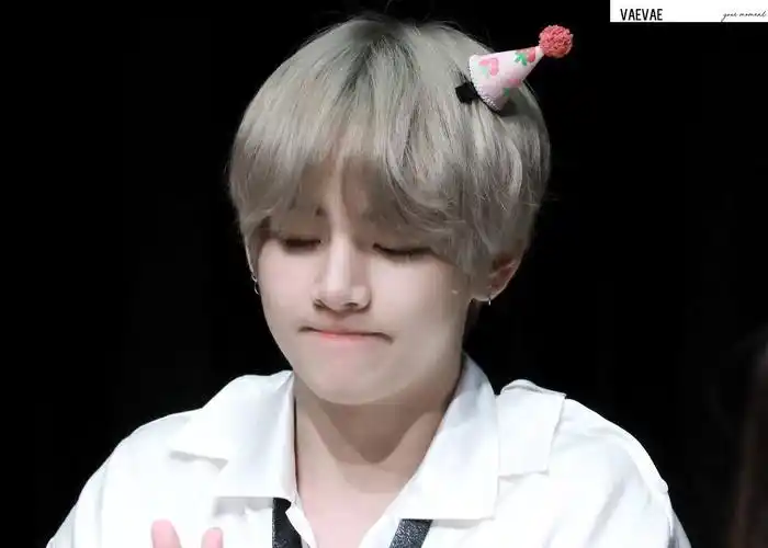 v 金泰亨 bts 防弹少年团 世最暖的小面包