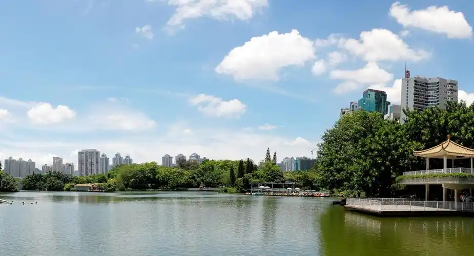 景观水体生态修复工程