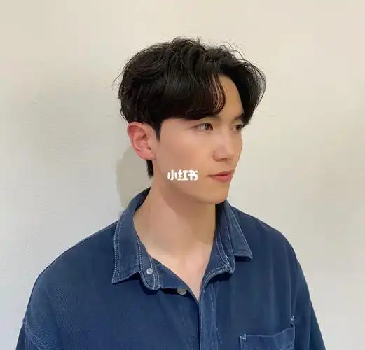 中分纹理烫 成熟帅气7215