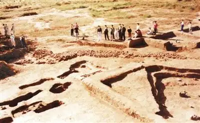 1994年,查海遗址出土"石堆塑龙"    阜新市文旅局供图