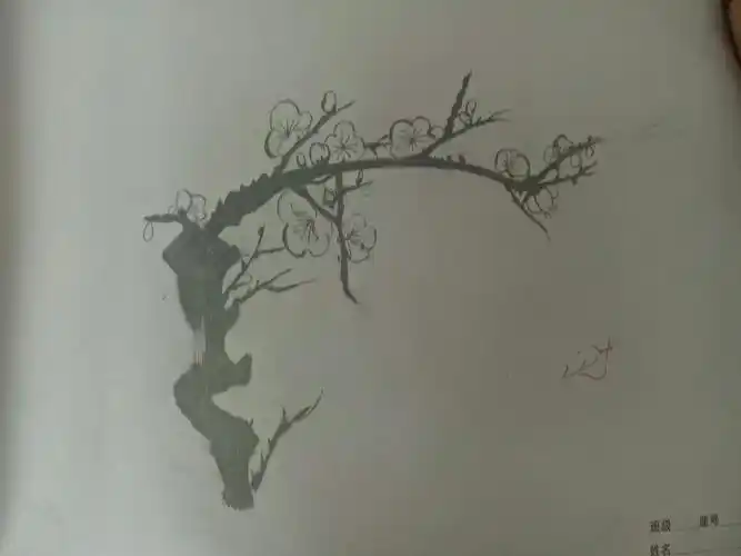 其它 《梅竹言志》--梅花 写美篇点评:这张画把枝干处理的非常生动