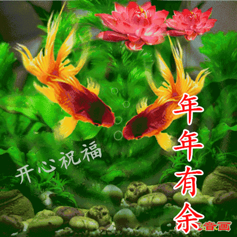 483_483gif 动态图 动图