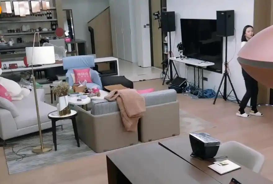 女明星的豪宅王鸥家最大宋茜家最整洁林允家像垃圾场