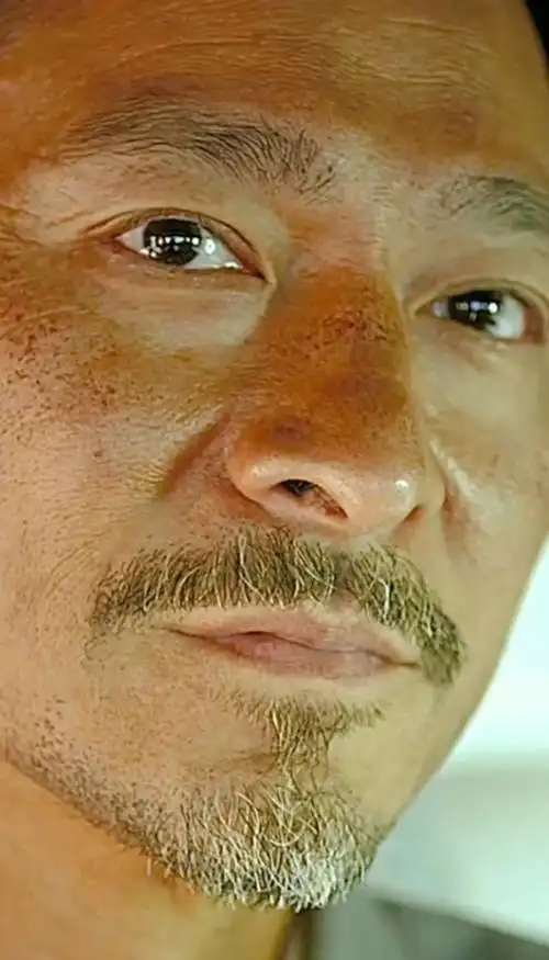 盛世美颜刘德华,岁月无情啊