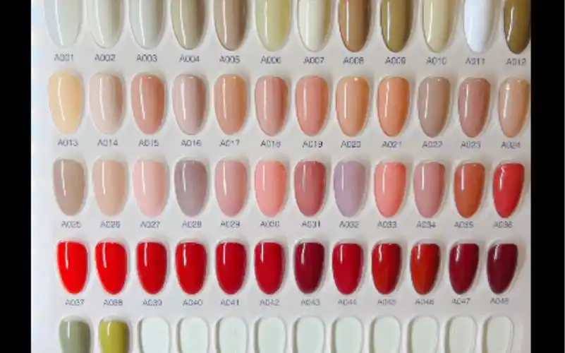 美甲套胶色板制作04 525552 03 36～50色号