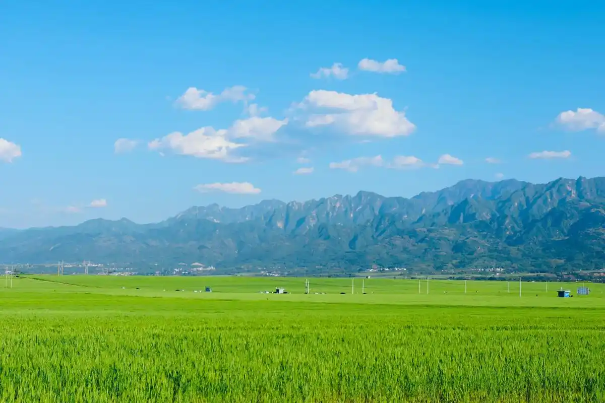 五月的天 刚诞生的夏天～ #麦田 #治愈系风景 #摄影 #调 - 抖音