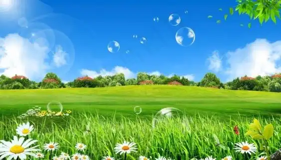 蓝天白云草地图片2500x1172dpi72psd模版下载