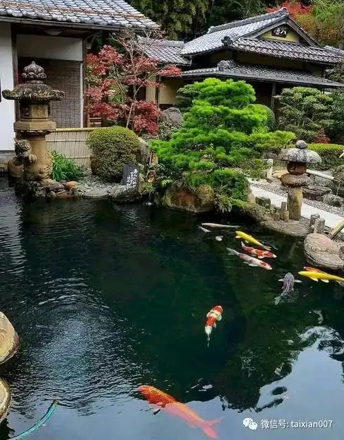 院子,一定要有个池塘!_水景