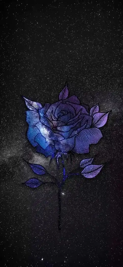 壁纸分享,其实不是所有得到结果的都成功,也不是没结果的就失败