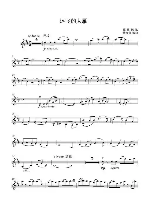 唯美音画《远飞的大雁》陈蓉晖演奏附小提琴谱_徐大犹