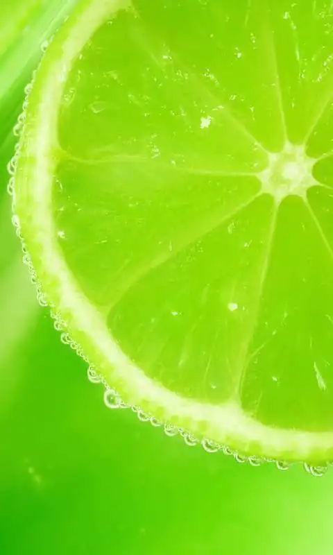 多款清新养眼手机壁纸送给你,需要的就打开看看