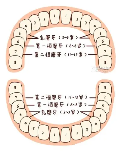 幼儿园体检超过一半孩子都有这个问题