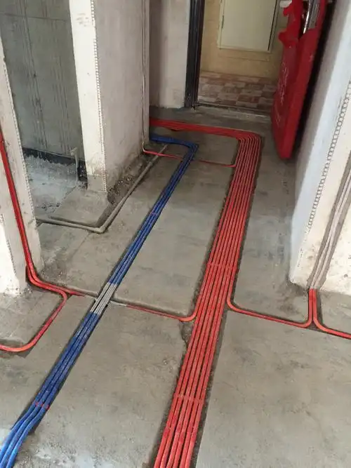 王(女士)的新家