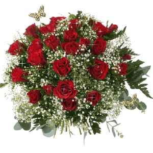 太太太太太漂亮了,发到群里,朋友们会爱死你的!