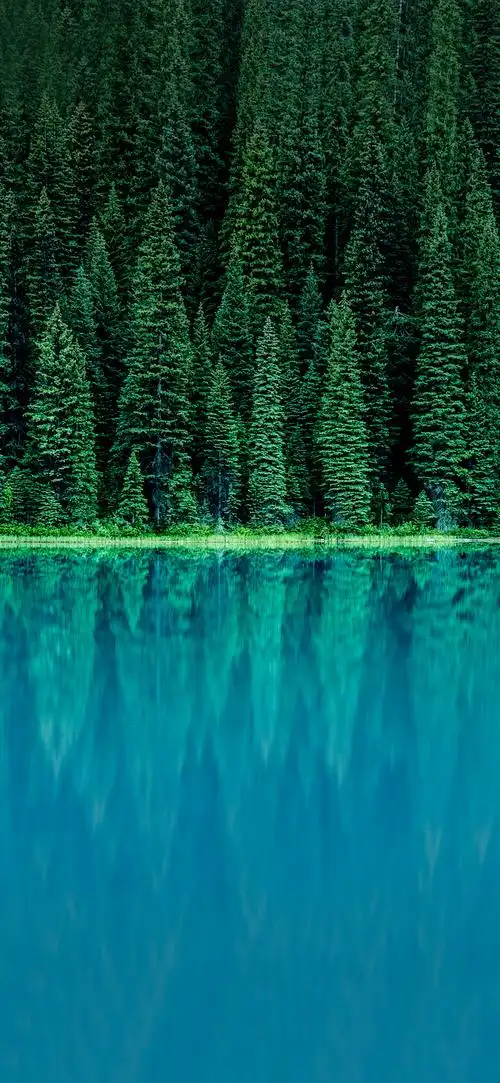 1440_3120竖版 竖屏