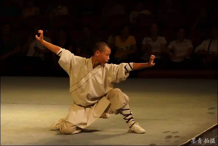 (原摄)少林武功