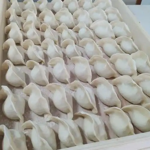 潘飞纯手工生饺