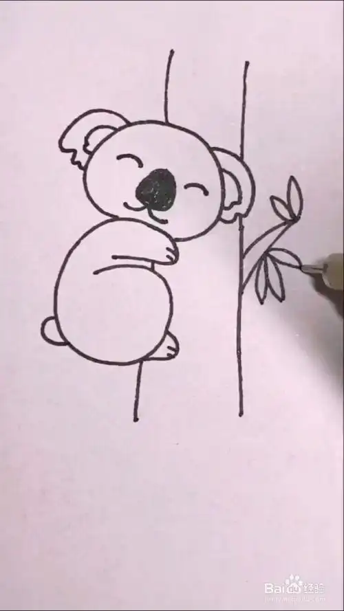 如何画考拉?