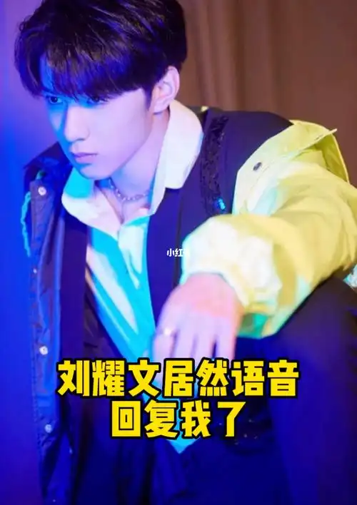 我居然追星刘耀文成功啦