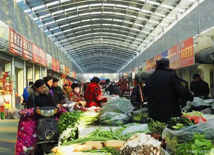 大型农贸批发交易市场建设项目可行性研究报告立项报告_农产品_我国