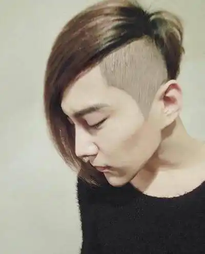 求像这张图片一样的阴阳头的个性图片.