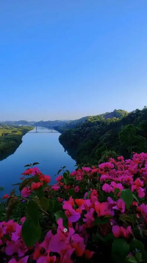 风和日丽,山清水秀,鸟语花香!