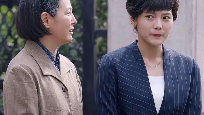 妈妈在等你:石竹回老家晓风送她离开,半路被人拦截,受伤住院-影视综