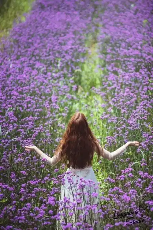 【520】绍兴惊现大片紫色花海,画面堪比"普罗旺斯",关键穿长裙还能