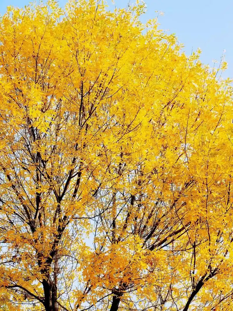 遇见美好·秋冬美景处处动人!