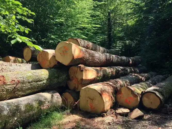 木材产业网 木材供应 厂家直销欧式实木茶几客厅长几酒店家具小户型