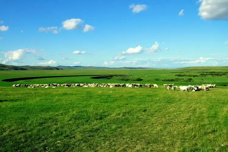 呼伦贝尔草甸草原