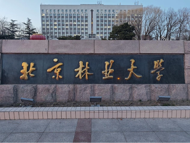 菜鸟无忧携北京林业大学,赋能未来,领航央国企之路,就业咨询答疑会圆