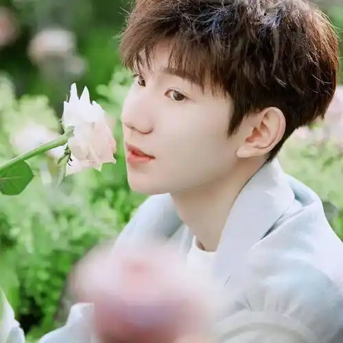 【微信头像】王源