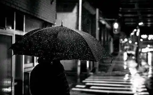 遇见了我生命中不能承载的伤痛,遇见了一个又一个远去的背影