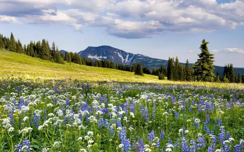 唯美秀丽自然风景图片电脑壁纸 _ 图片网