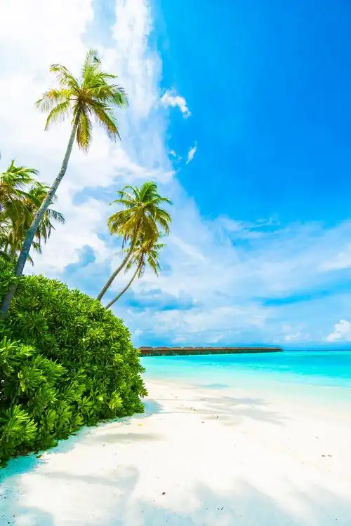 美丽的热带海滩和大海在马尔代夫岛