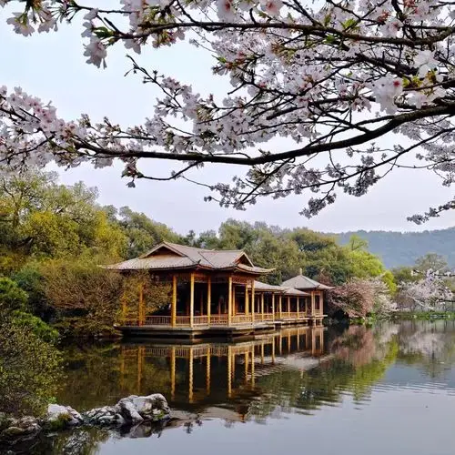 杭州西湖2017年春季集景(周兔英 摄影)