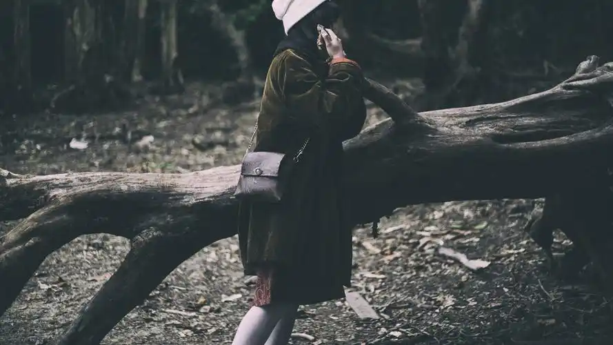 优雅俏丽的少女,复古,森女,高清壁纸,桌面图片-壁纸族