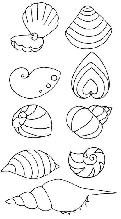 贝壳简笔画图片画法