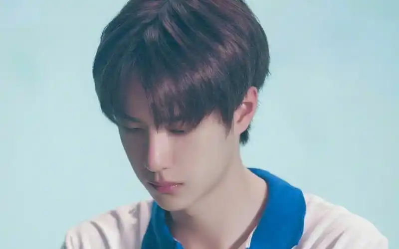 我们都知道没有帅气的脸庞很难驾驭的了中分发型,那么,留中分最好看的