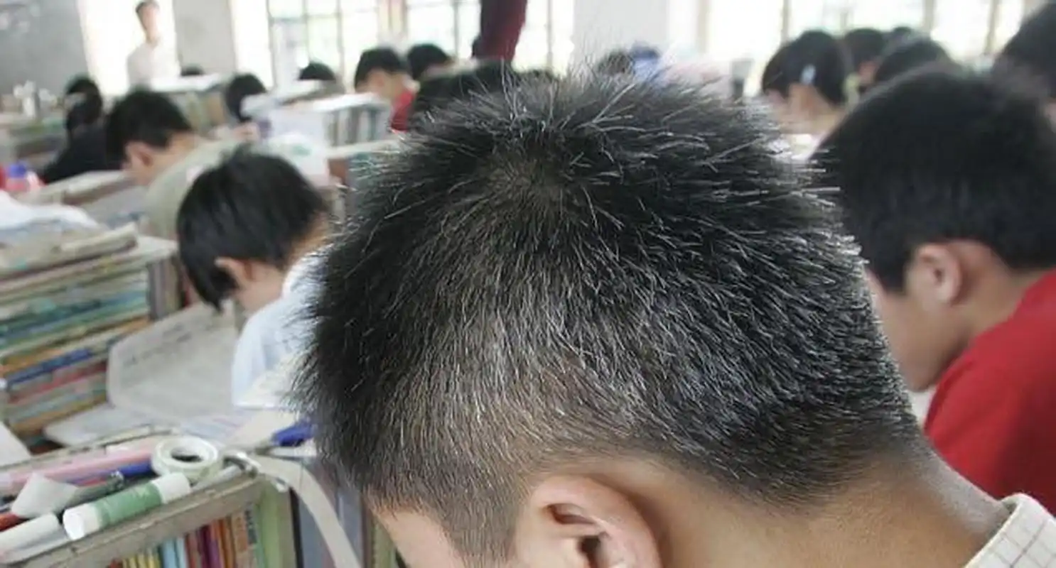 为啥青少年白头发越长越多?