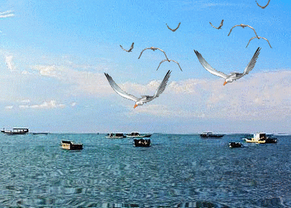 445_318gif 动态图 动图