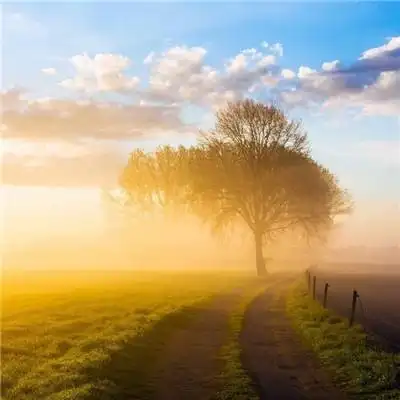 成熟男人微信头像风景大全喜怒形于色是需要资本的