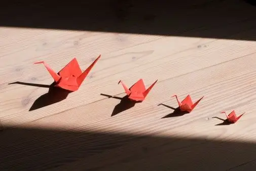 还记得曾经我们折的千纸鹤吗?