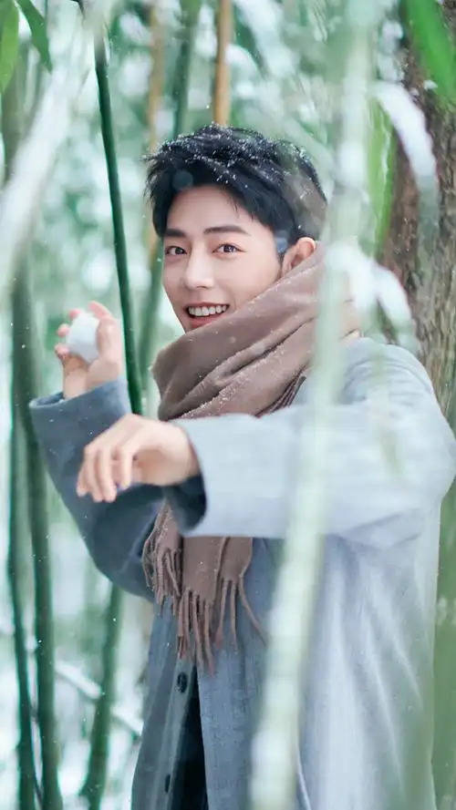 肖战冬至竹林大片