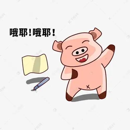 小猪的日常生活之欧耶