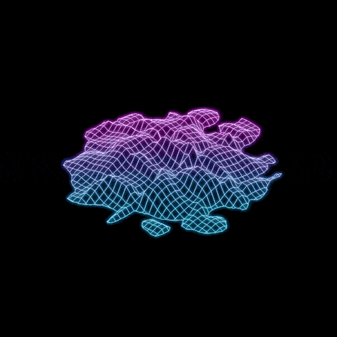 三维3d网格抖动gif动图_动态图_表情包下载_soogif