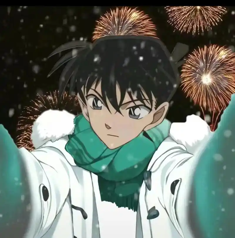 名侦探柯南新年头像#名侦探柯南 #工藤新一 #毛利兰 #怪盗 - 抖音