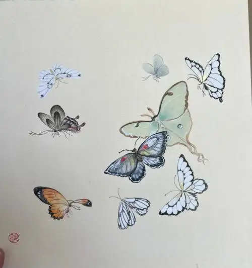 没骨学习71小蝴蝶03